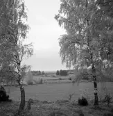 Landskapsvy mot bondgård