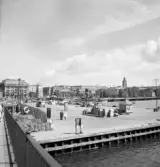Lastkaj med vy över Stockholm