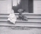 Foto av Harald och Prim, 1896 (enligt bildtext i album).