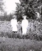 Foto av Harald och Ellen i vallmokullen, 1903 (enligt bildtext i album).