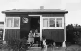 Kvinna och man med hund framför kolonistuga i Ormesta sommaren 1951 