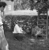 Jonas Löving med bikupa