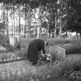 Alf Blockings mor vid grav