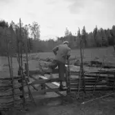 Erik Karlsson klättrar över spång