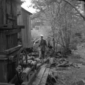 Erik Karlsson fotograferar vid Hultet