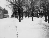 Snöbild. Vy längs Norra Hamnvägen österut med Engelska parken till höger. Bakom träden ligger Torellska huset, numera Hotell Gästis. Fotografen är okänd.