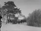 Snöbild. En grupp av människor framför en långsträckt huslänga. I förgrunden ett par tallar och buskage.