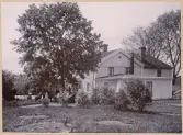 Bergs gård, Slätthög. 
Kronolänsman J.M.W. Eksandh med familj och vänner har samlats för kaffe under vårdträdet på gårdsplanen.