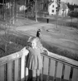 Lilla Siv på Harrys balkong