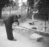 Fotograf framför fågelbur