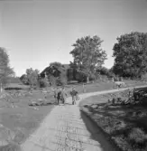 Fyra män på grusväg