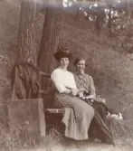 Två kvinnor i blus och kjol m.m. sitter på en parkbänk, trol. i Bad Kissingen.
Elsa Eksandh (g. Laudien) med systerdottern Ingjerd Sellergren (g. Sandström).