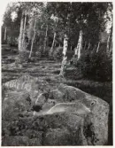 Vänersnäs. Näsbyholm