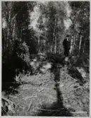 Vänersnäs. Bronsåldersröse nära Stockevik