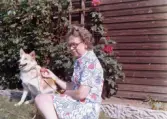 Fotografi från 1973-06-23 som visar Inga-Lill Börjesson tillsammans med hunden Jeppe och hon håller i en boll. Bakom dem växer en vacker klängros på en spaljé. Bilden är tagen utanför huset Solskranten i Femmöller på Jylland i Danmark i samband med  ett 65-års-kalas. 