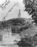 Skolhusgatan i början av 1900-talet. Text på bild 