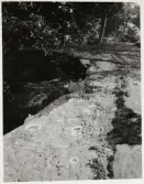 Vargön. Berghäll med skålgropar