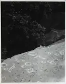 Vargön. Berghäll med skålgropar