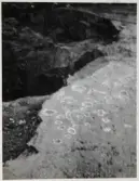 Vargön. Berghäll med skålgropar