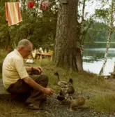 Åke Börjesson sitter en bit från Ingsjön i Hällingsjö-trakten i Härryda kommun, sommaren 1980. Han bär en ljusgul skjorta, mörka långbyxor, svarta strumpor och mörkbruna sandaler. Han sitter och matar några gräsänder med brödsmulor. I bakgrunden skymtar Ingsjön mellan trädstammarna och ett bord med hopfällbara stolar står uppställt i bakgrunden.