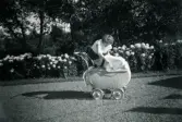 Mamma Inga Maj Berndtsson tittar till sonen Lennart som ligger i en barnvagn som står på en gräsmatta i en trädgård. Solhemsgatan 35 på Solängen i Mölndal, sommaren 1954.