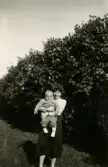Inga Maj Berndtsson håller upp sin son Lennart framför en hög häck. Prytzgatan i Broslätt, Mölndal, cirka 1954.