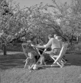 Fotografens familj i trädgården