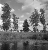 Å med samhälle i bakgrunden