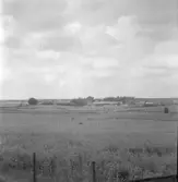 Vy över åkermarker