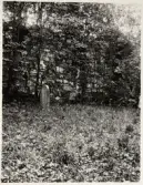 Ruin av Gärdhems gamla kyrka