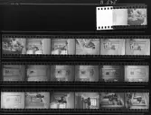 Text till negativ: Kakelugnar Önafors  Vänersborg