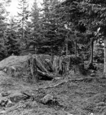 Väne-Ryr. Hällkista Skottene