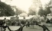 Bild från stadsträdgården i Gävle med café sommarro, Boulognerskogen, i bakgrunden, kanske någon festlig tillställning som äger rum.