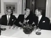 50-årsjubileum den 3 juli 1954 för Kustsanatoriet Apelviken. Middagsgäster vid långbord i Societetsrestaurangen. På bordet står en skål med nejlikor och ett askfat. Meddela oss gärna om du vet namnet på någon av herrarna! (Se bildnr KSA137-KSA159.)