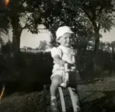 Porträtt av pojken Lennart Berndtsson som sitter på en gunghäst i en trädgård. Solhemsgatan på Solängen i Mölndal, cirka 1955.