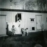 Pojken Lennart Berndtsson och en hund står på en gårdsplan intill ett uthus med 