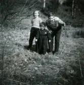 Porträtt av pojken Lennart Berndtsson samt två andra okända barn. De står ute i naturen. Mölndal, cirka 1956.