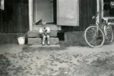 Porträtt av Lennart Berndtsson som sitter på yttertrappan till ett hus med en katt i famnen. En cykel står lutad mot huset. Oskarström cirka 1956.