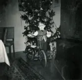 Jul på Prytzgatan i Broslätt, Mölndal, år 1958. Porträtt av den finklädde pojken Lennart Berndtsson som står med sin cykel intill julgranen i vardagsrummet.