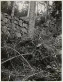 Hunneberg, Erdalskleven