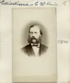 Carl Wilhelm Lilliestierna