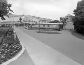 Nedslag i Museiparken