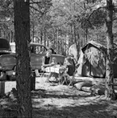 Familjen Erikssons tältsemestrar med bil på 1950- och 1960-talet. Matpaus utanför tältet i Stora Rör på Öland 1959. Från vänster mamma Gun-Britt, Björn, Bodil och Thomas.