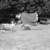 Familjen Erikssons tältsemestrar med bil på 1950- och 1960-talet. Sudersands camping på Fårö, Gotland. Björn står i solen, Bodil och mamma Gun-Britt sitter i skuggan.