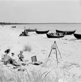 Familjen Erikssons tältsemestrar med bil på 1950- och 1960-talet. Familjen sittande på stranden i Sudersand på Fårö, Gotland 1959. På bilden Thomas, Bodil, mamma Gun-Britt och Björn.