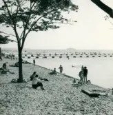 Familjen Erikssons tältsemestrar med bil på 1950- och 1960-talet. Vy över badstranden nedanför Nordenstrands camping i Visby 1959.