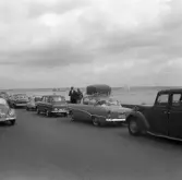 Familjen Erikssons tältsemestrar med bil på 1950- och 1960-talet. I väntan på överfart till Danmark 1962. Bilen med packningen är familjen Erikssons. Opel Rekord med registreringsnummer F47848.