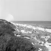 Familjen Erikssons tältsemestrar med bil på 1950- och 1960-talet. Badstranden vid Dronningmölle, Danmark 1962.