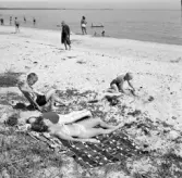 Familjen Erikssons tältsemestrar med bil på 1950- och 1960-talet.  Thomas, mamma Gun-Britt, Bodil och Björn vid badstranden Dronningmölle, Danmark 1962.