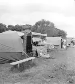 Familjen Erikssons tältsemestrar med bil på 1950- och 1960-talet. Mamma Gun-Britt, Björn och Thomas vid tältlägret i Dronningmölle, Danmark 1962. Det äldre tvåmanstältet syns till vänster och det nya stora tältet 